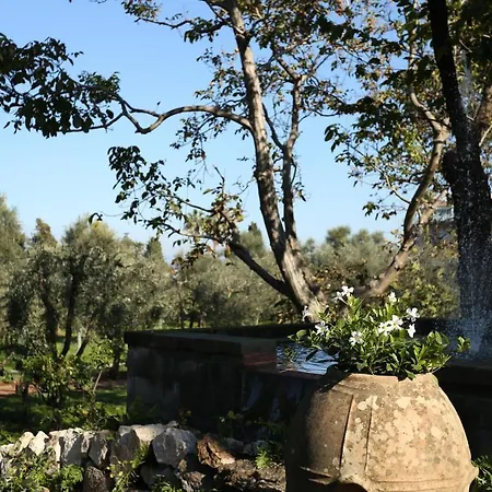 Zagara - La Serra 4* Sorrento