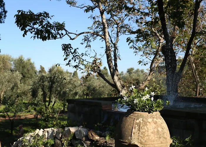 Zagara - La Serra 4* Półwysep Sorrentyński