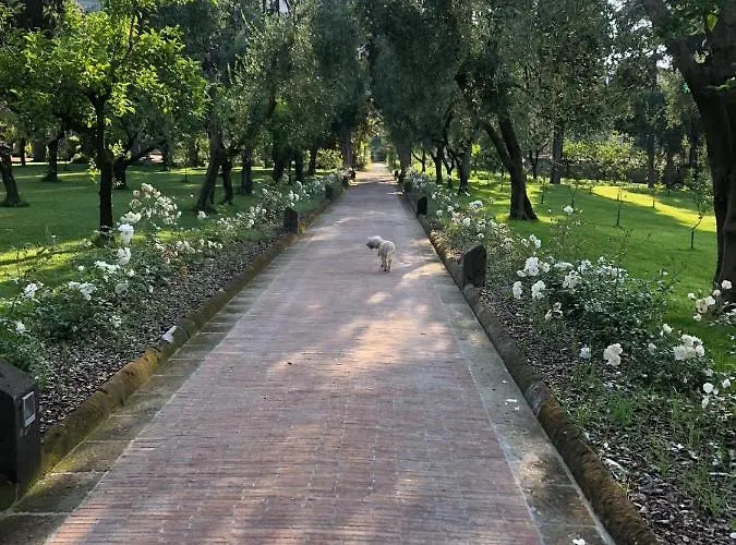 Zagara - La Serra Sorrento